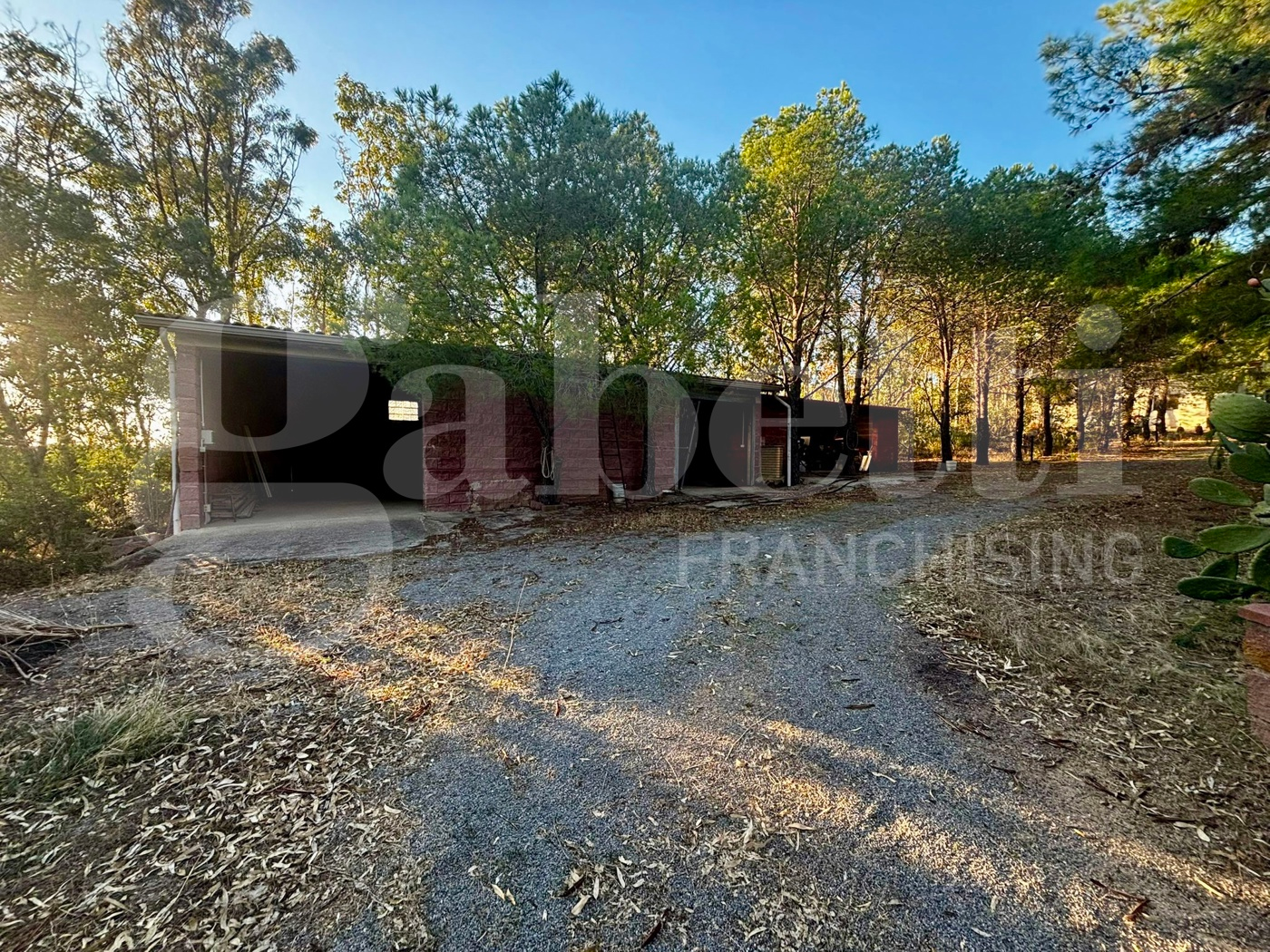 immagine annuncio 5 di 7