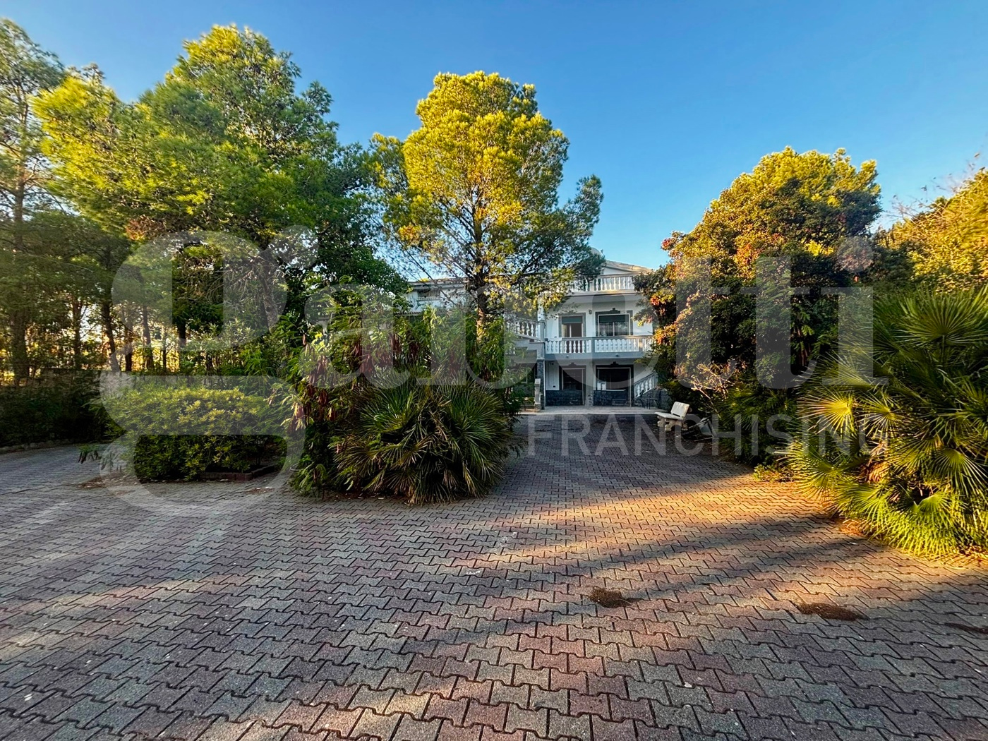 immagine annuncio 6 di 7