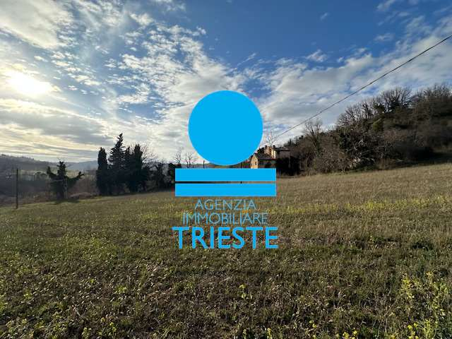 immagine annuncio 4 di 8