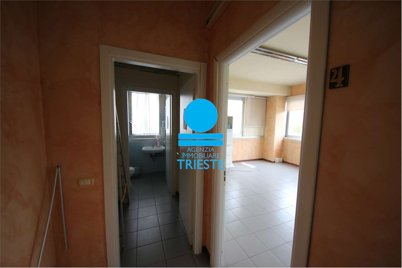 immagine annuncio 4 di 6