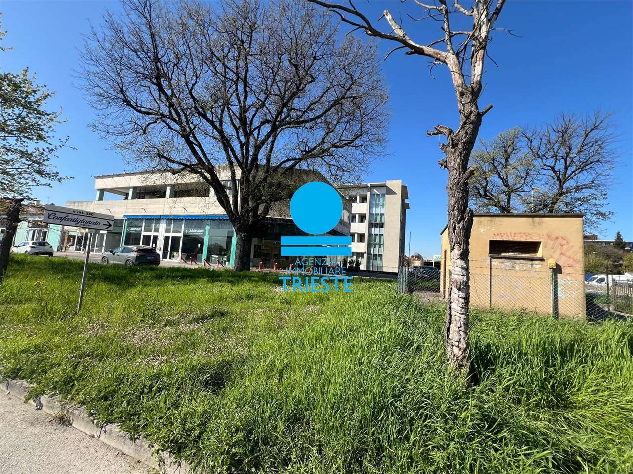 immagine annuncio 5 di 6