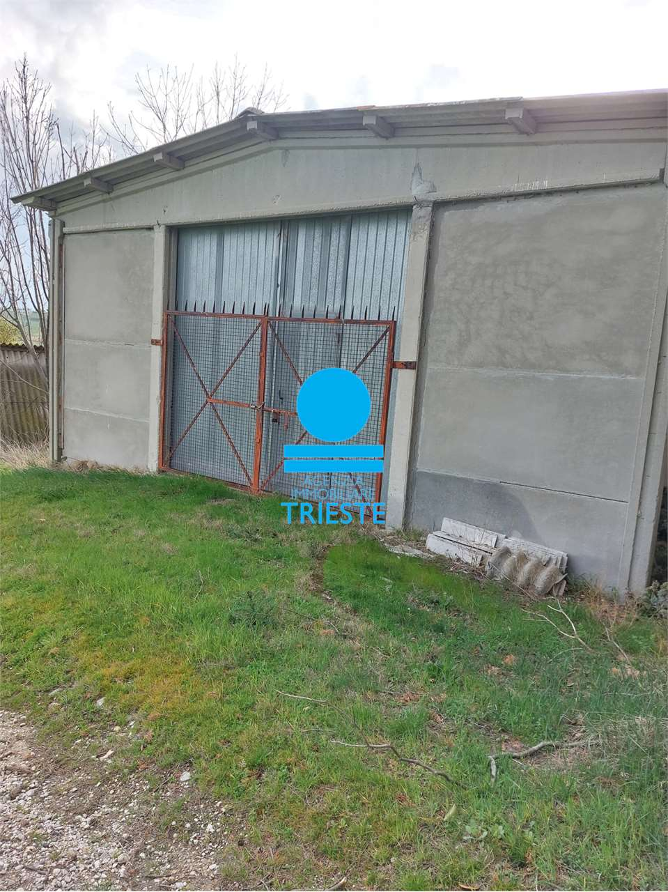 immagine annuncio 6 di 10