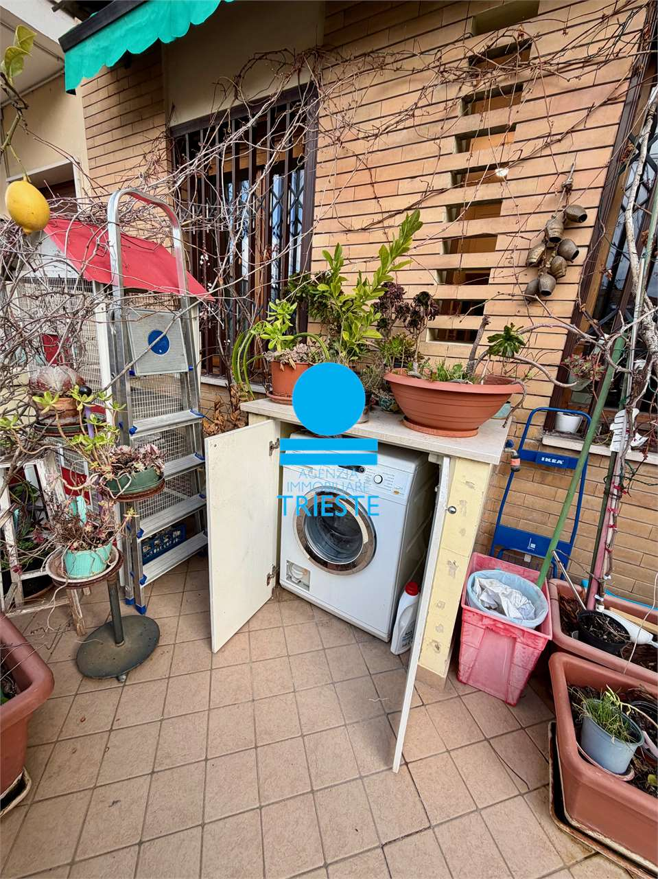 immagine annuncio 7 di 10