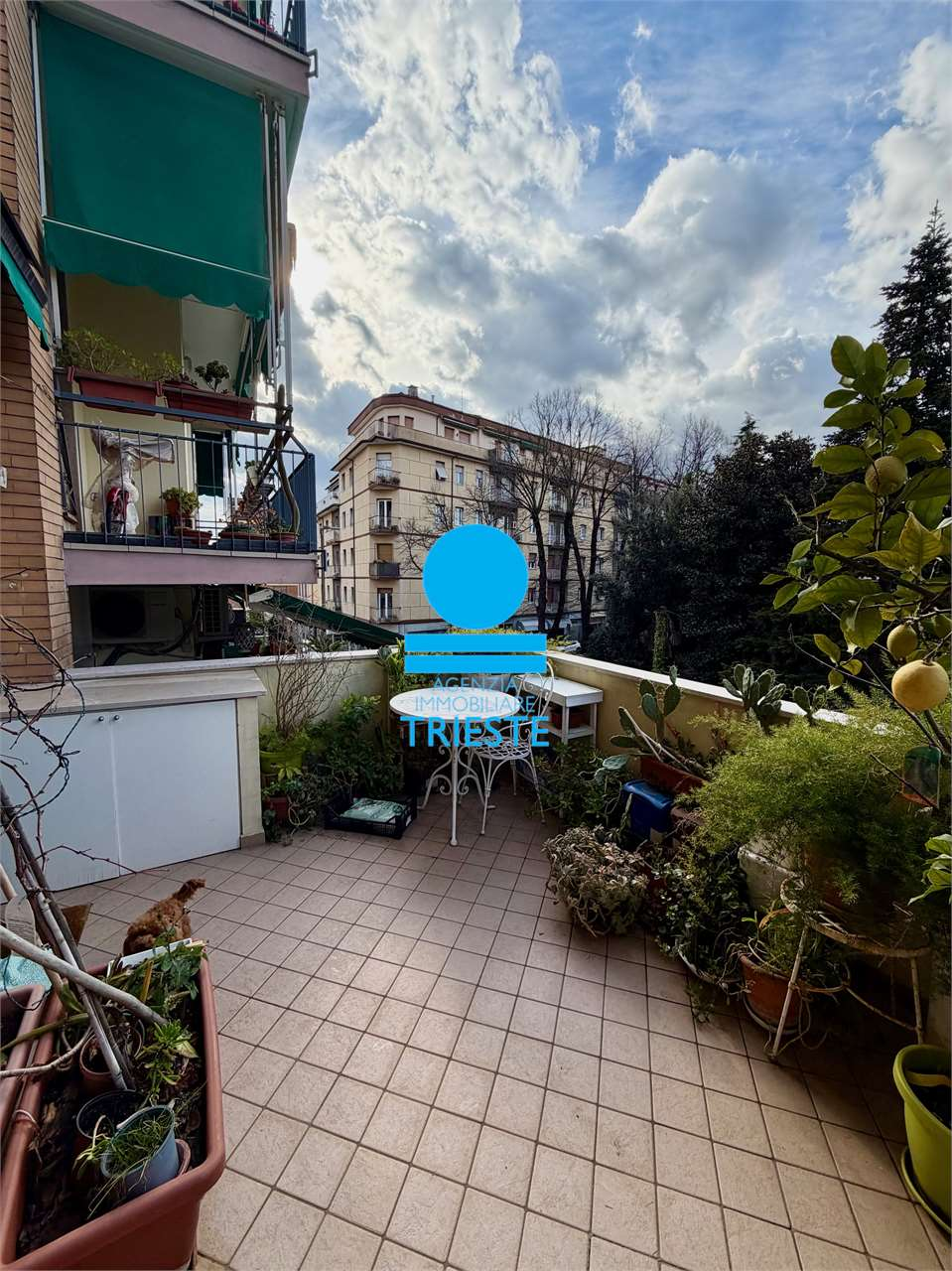 immagine annuncio 8 di 10