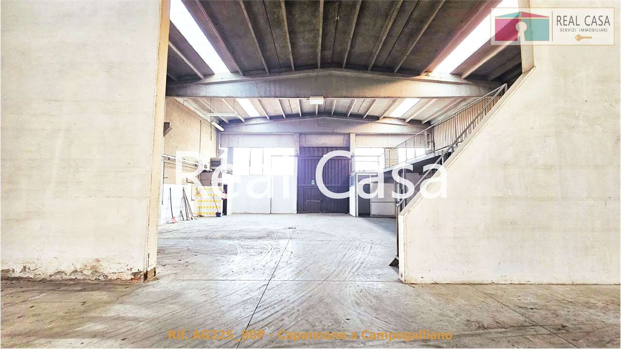 immagine annuncio 2 di 9