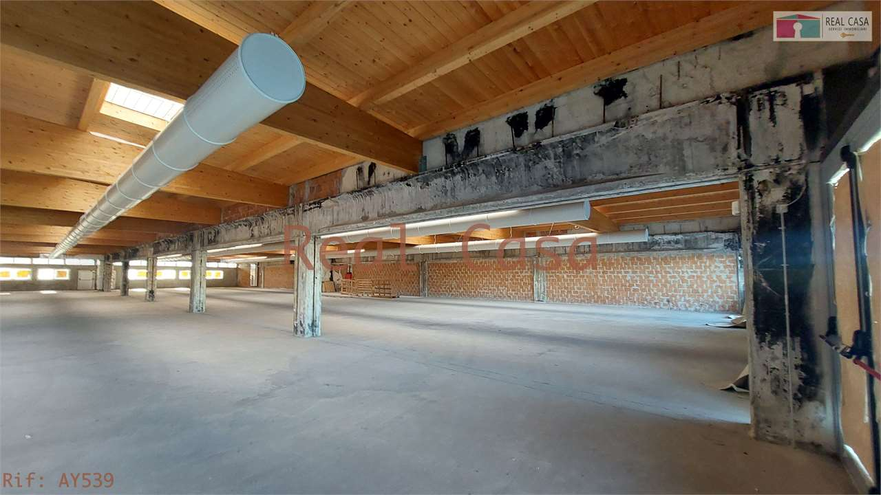 immagine annuncio 1 di 6