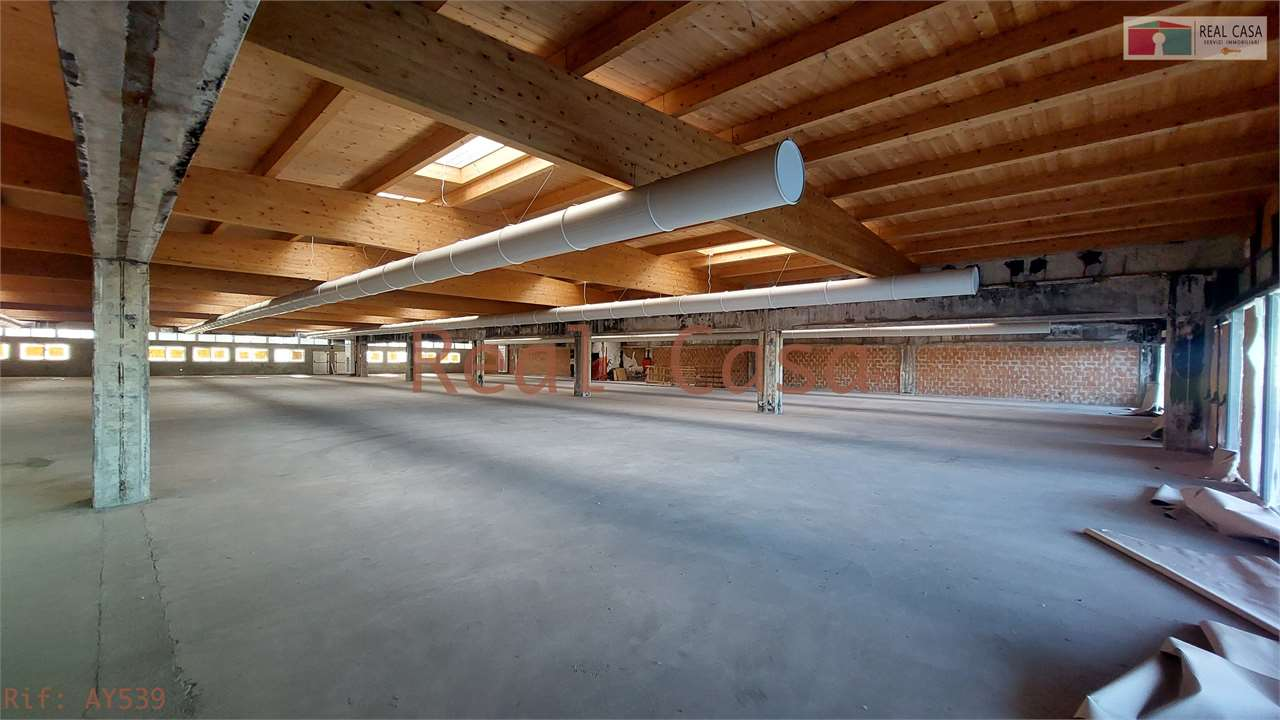 immagine annuncio 3 di 6