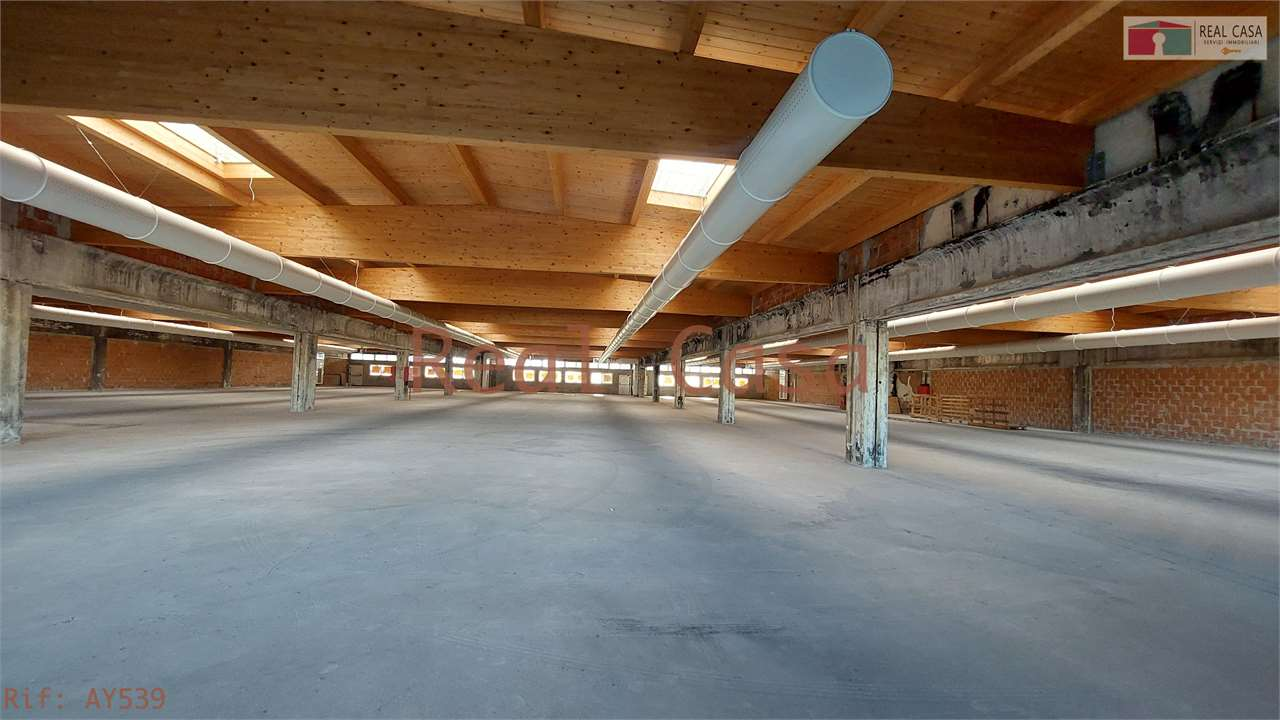 immagine annuncio 4 di 6