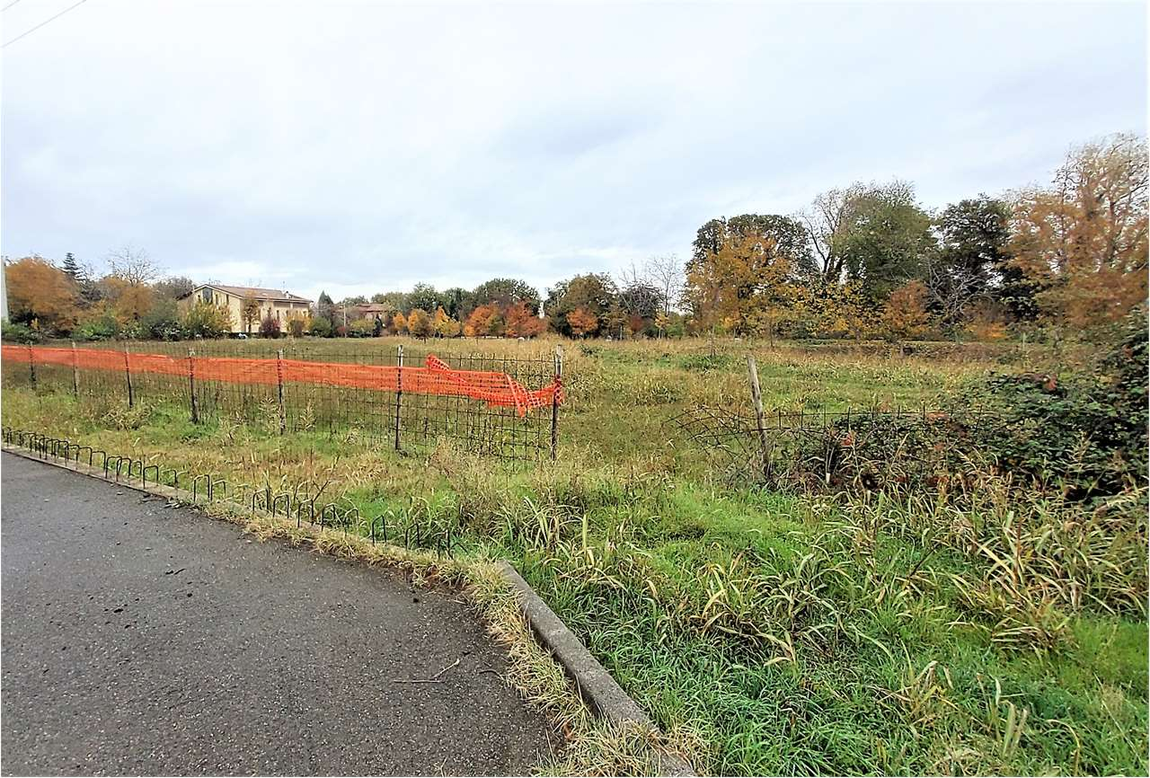 immagine annuncio 4 di 6