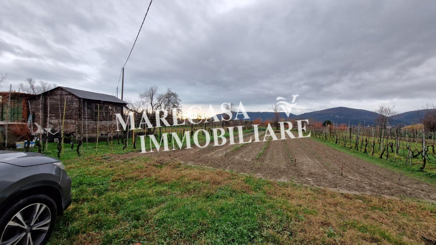 immagine annuncio 2 di 6