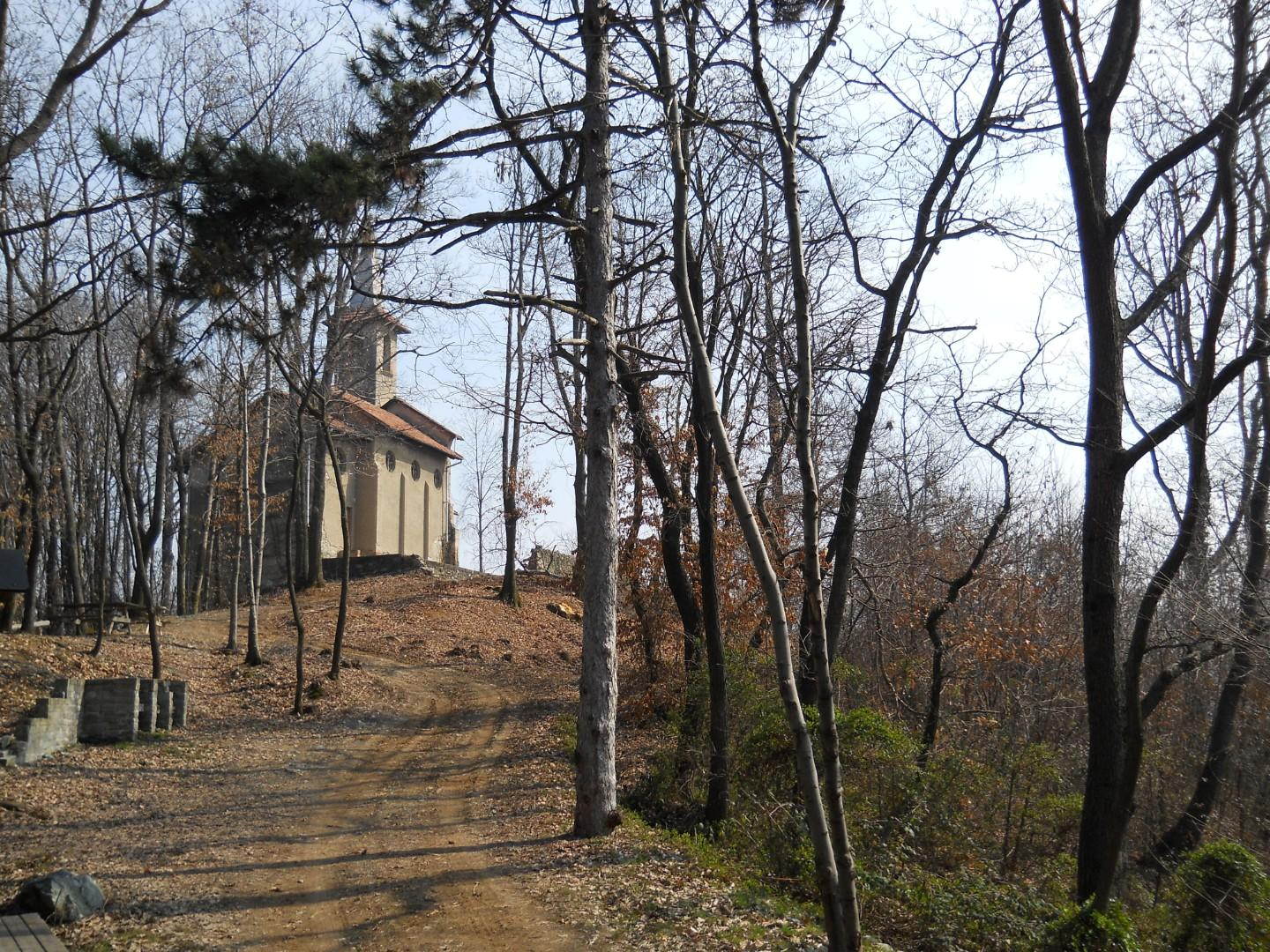 immagine annuncio 2 di 7