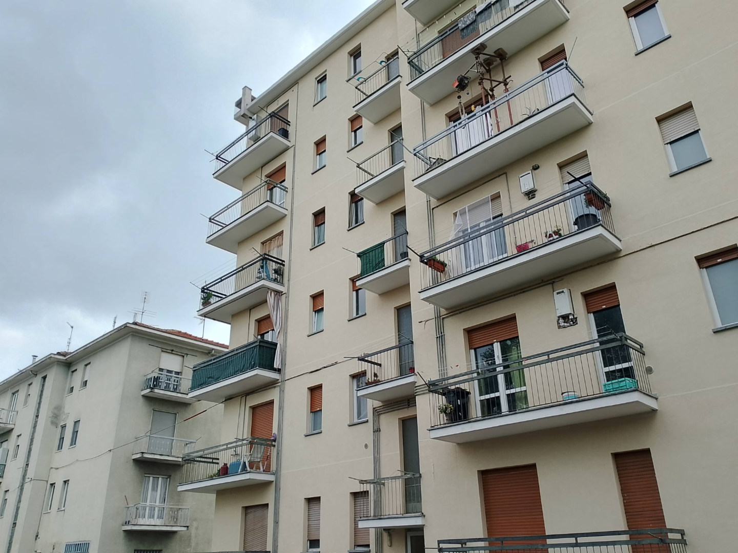 immagine annuncio 1 di 10