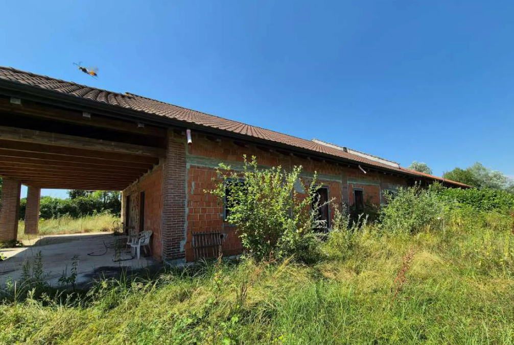 immagine annuncio 6 di 10