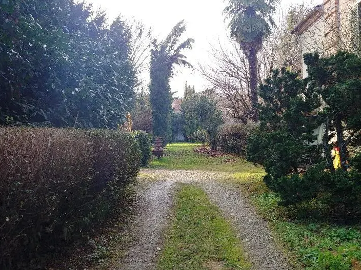 immagine annuncio 2 di 8