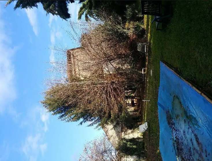 immagine annuncio 5 di 8