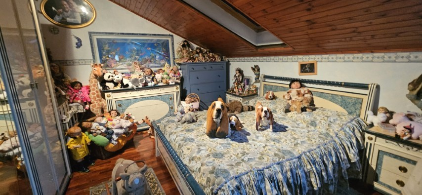 immagine annuncio 3 di 10