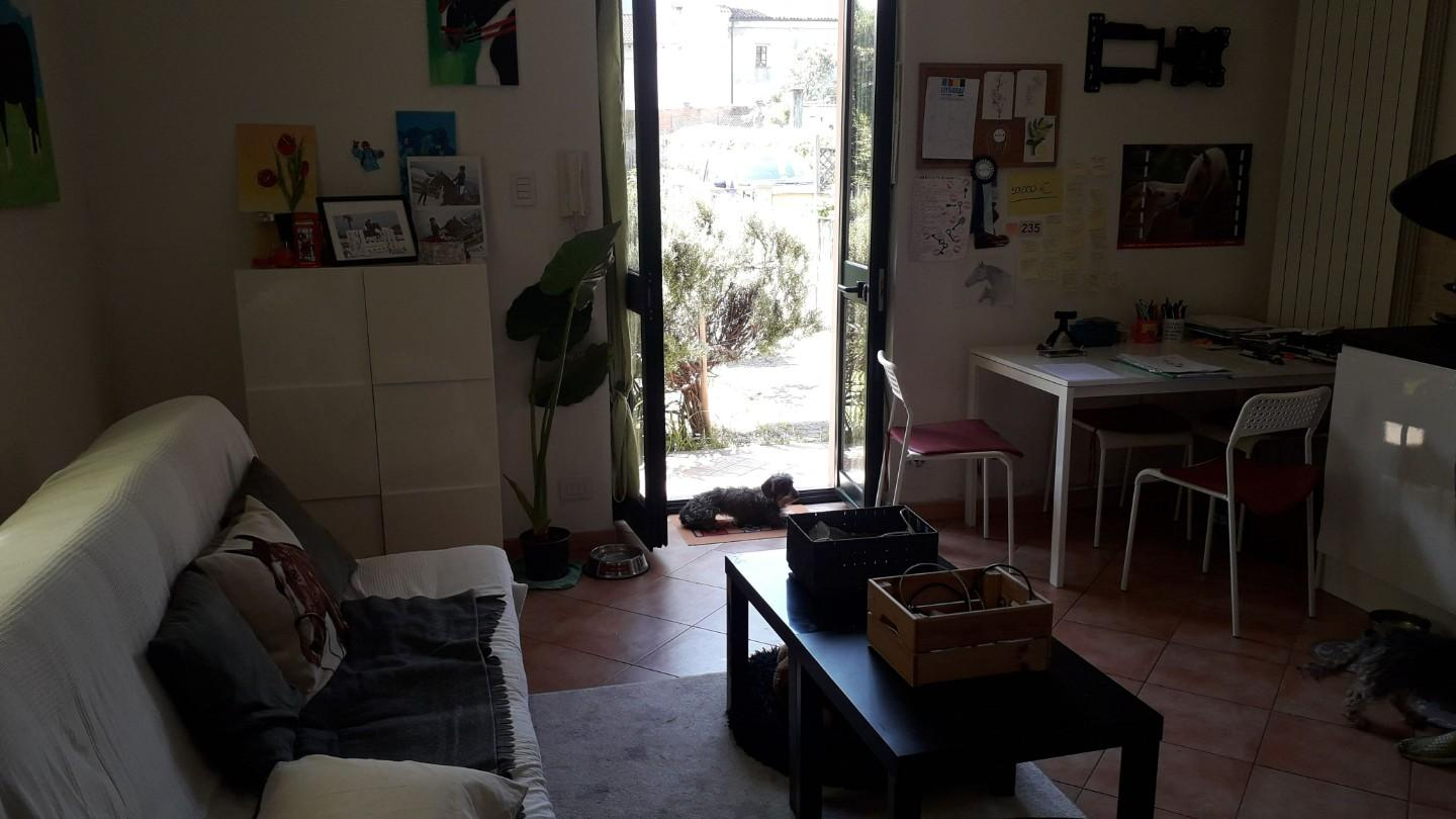 immagine annuncio 2 di 10