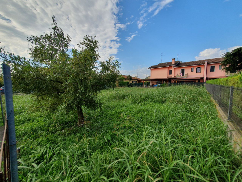 immagine annuncio 4 di 8
