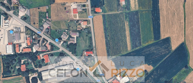 immagine annuncio 2 di 4