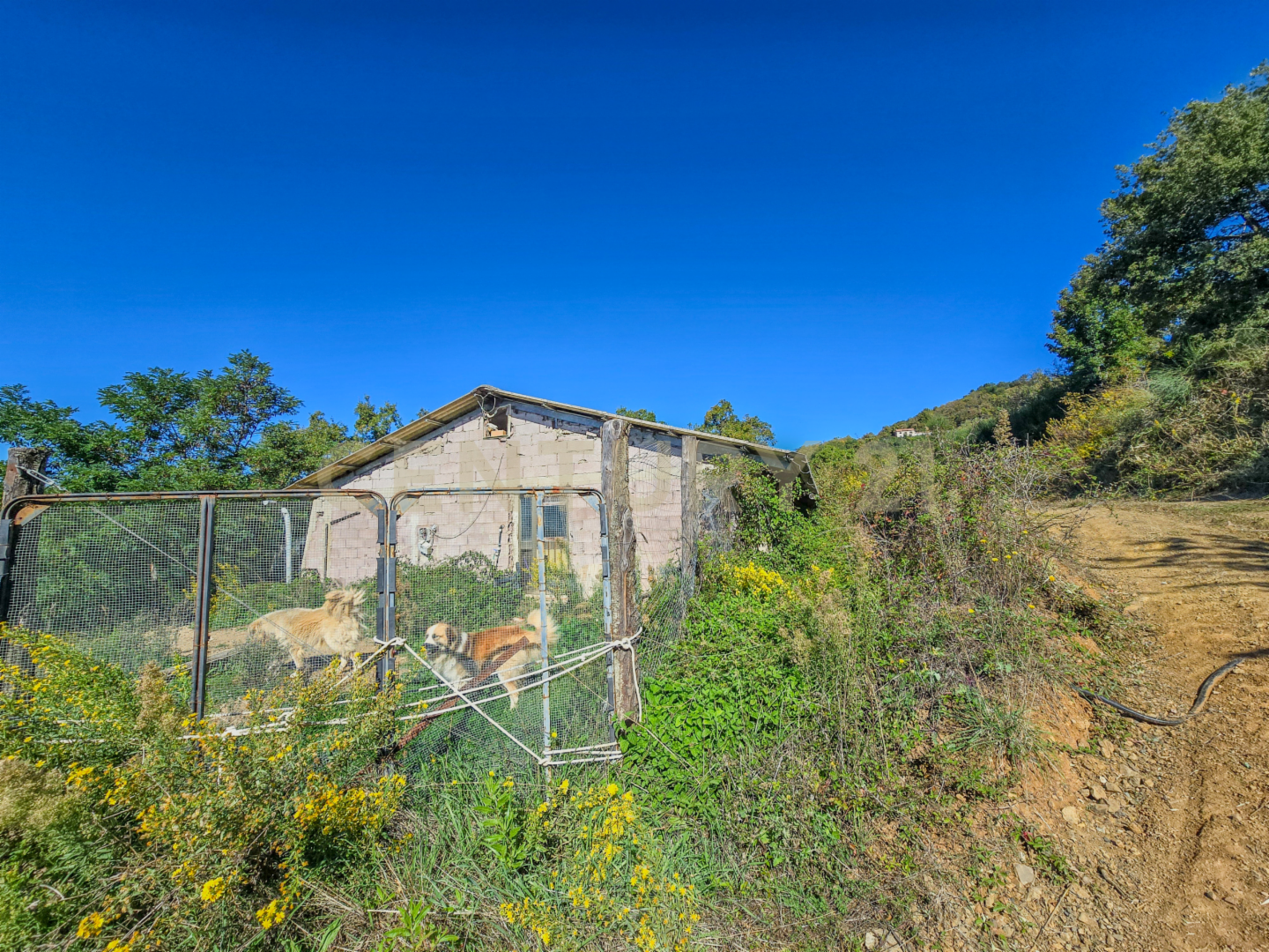 immagine annuncio 7 di 10