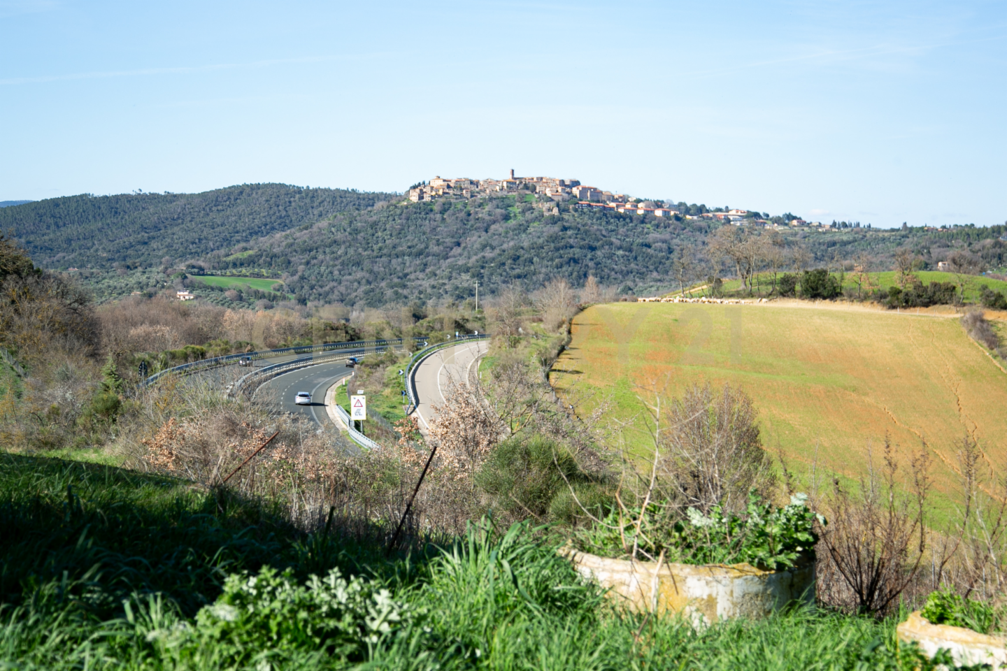 immagine annuncio 2 di 4