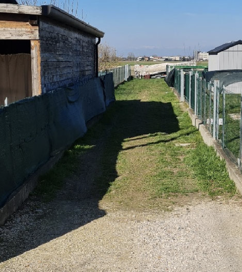 immagine annuncio 5 di 10