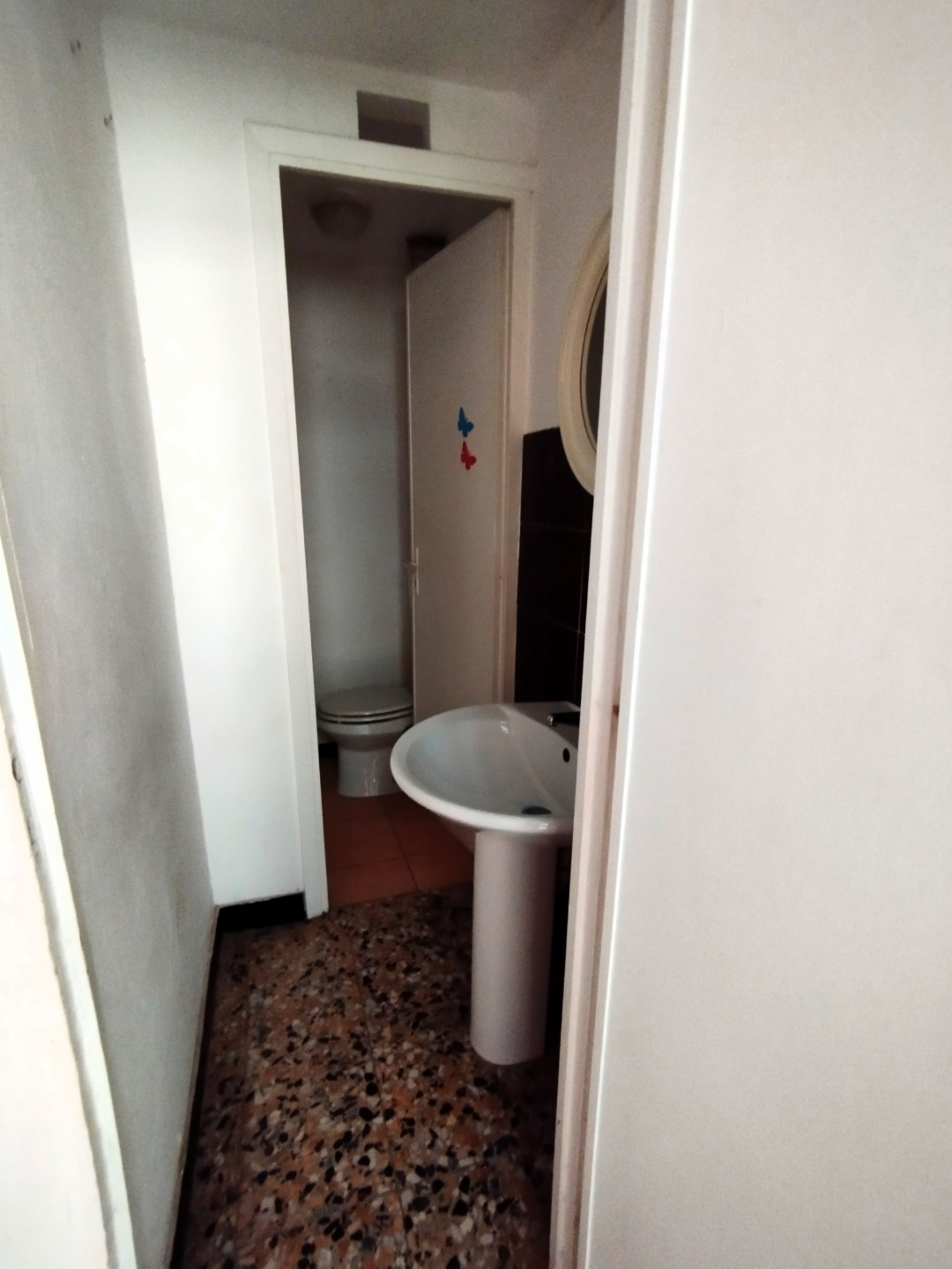 immagine annuncio 2 di 3