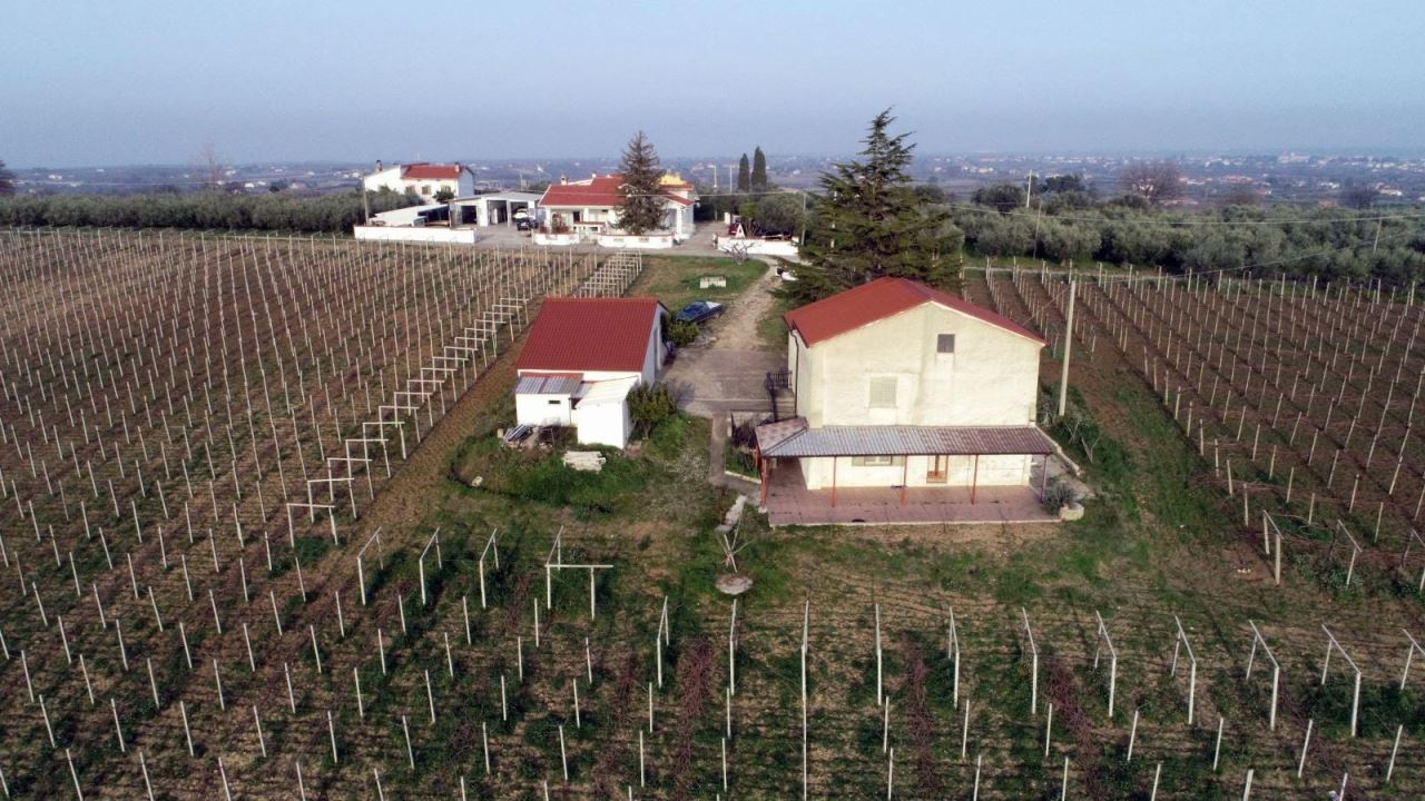 immagine annuncio 1 di 2