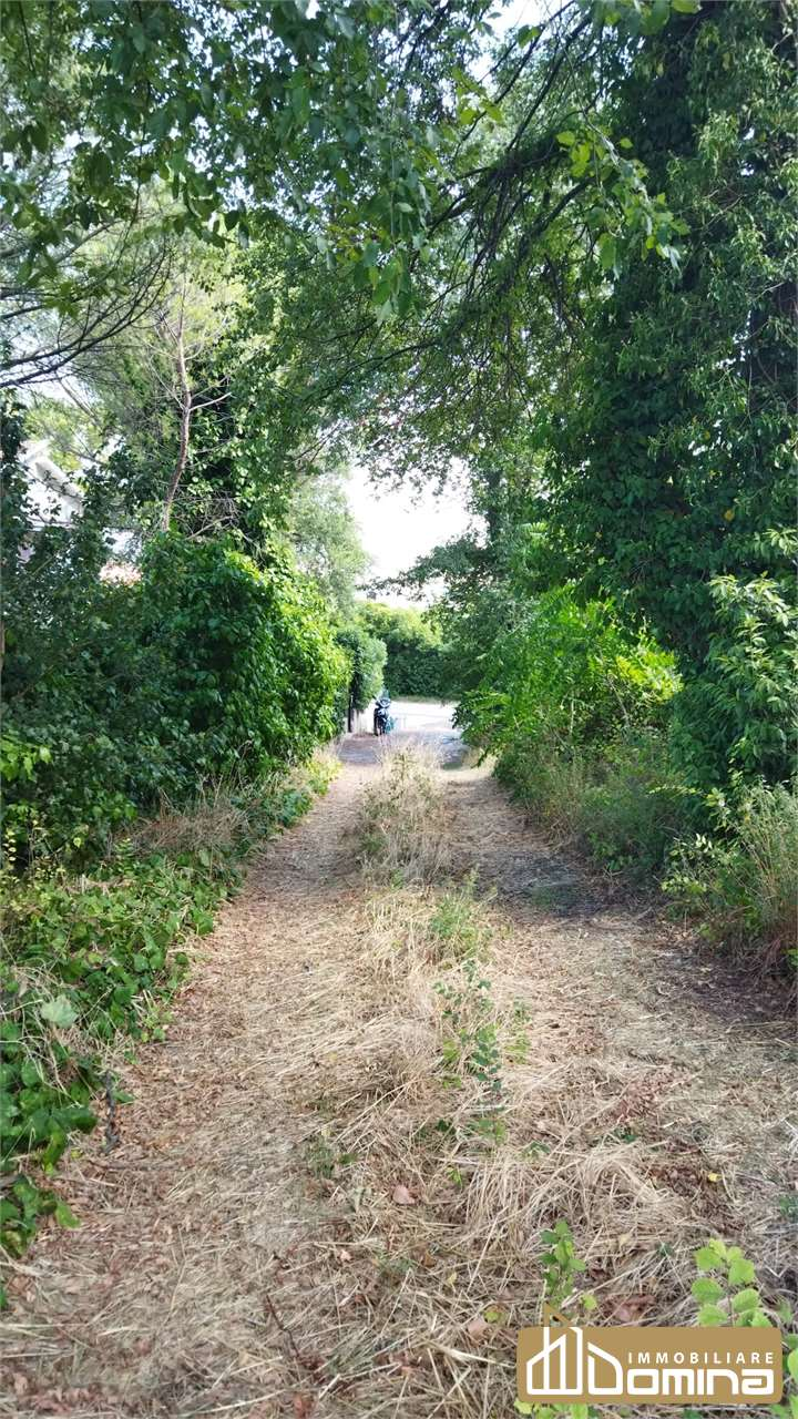immagine annuncio 4 di 6