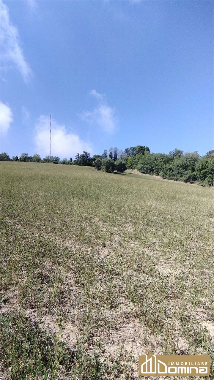immagine annuncio 3 di 6