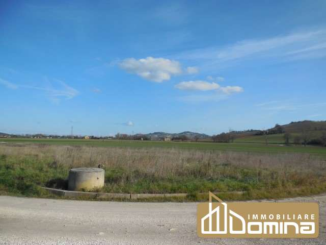 immagine annuncio 4 di 6