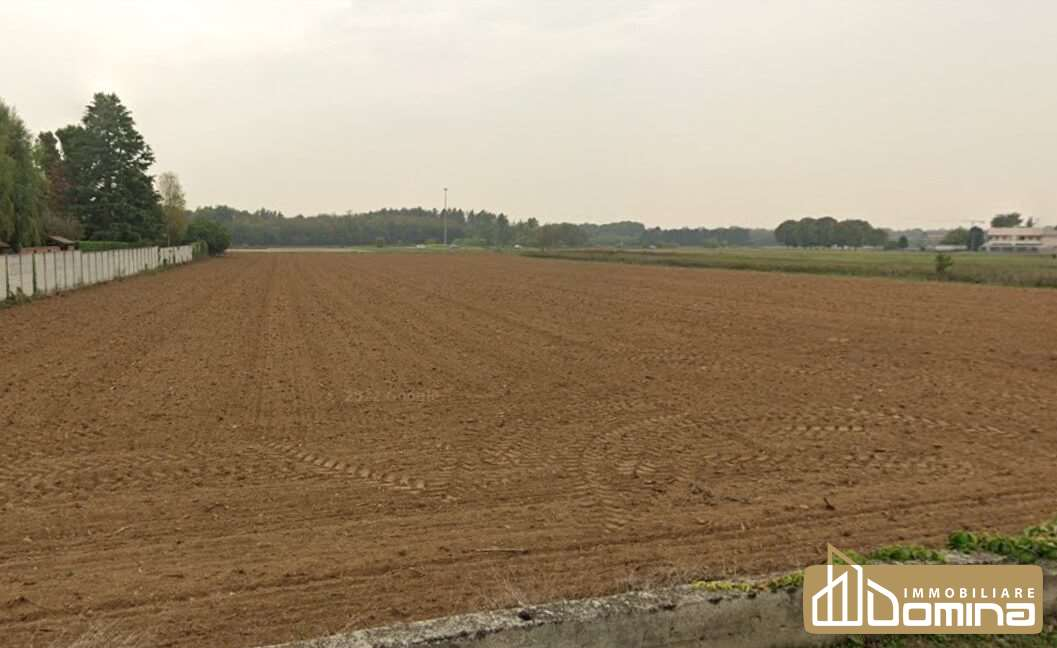 immagine annuncio 1 di 8