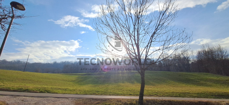 immagine annuncio 4 di 7