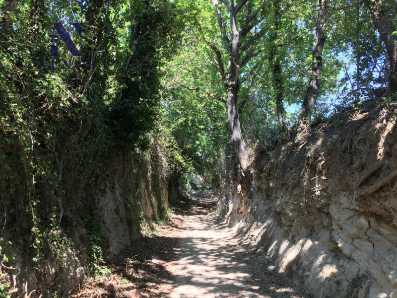 immagine annuncio 1 di 7