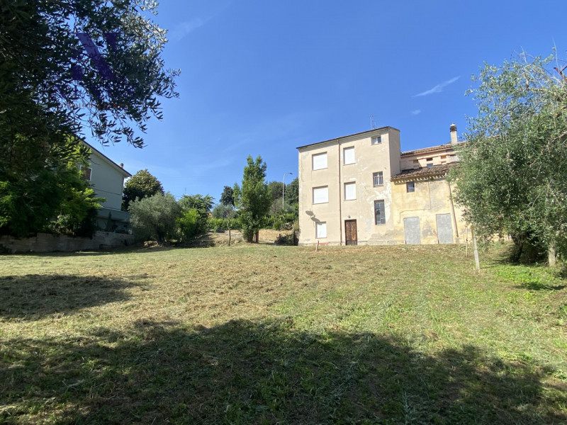 immagine annuncio 3 di 7