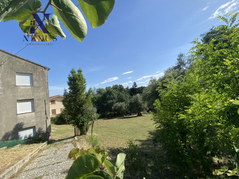 immagine annuncio 5 di 7