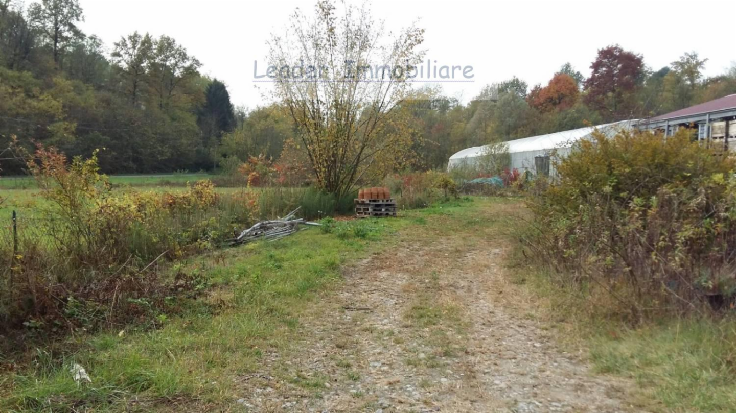 immagine annuncio 1 di 9