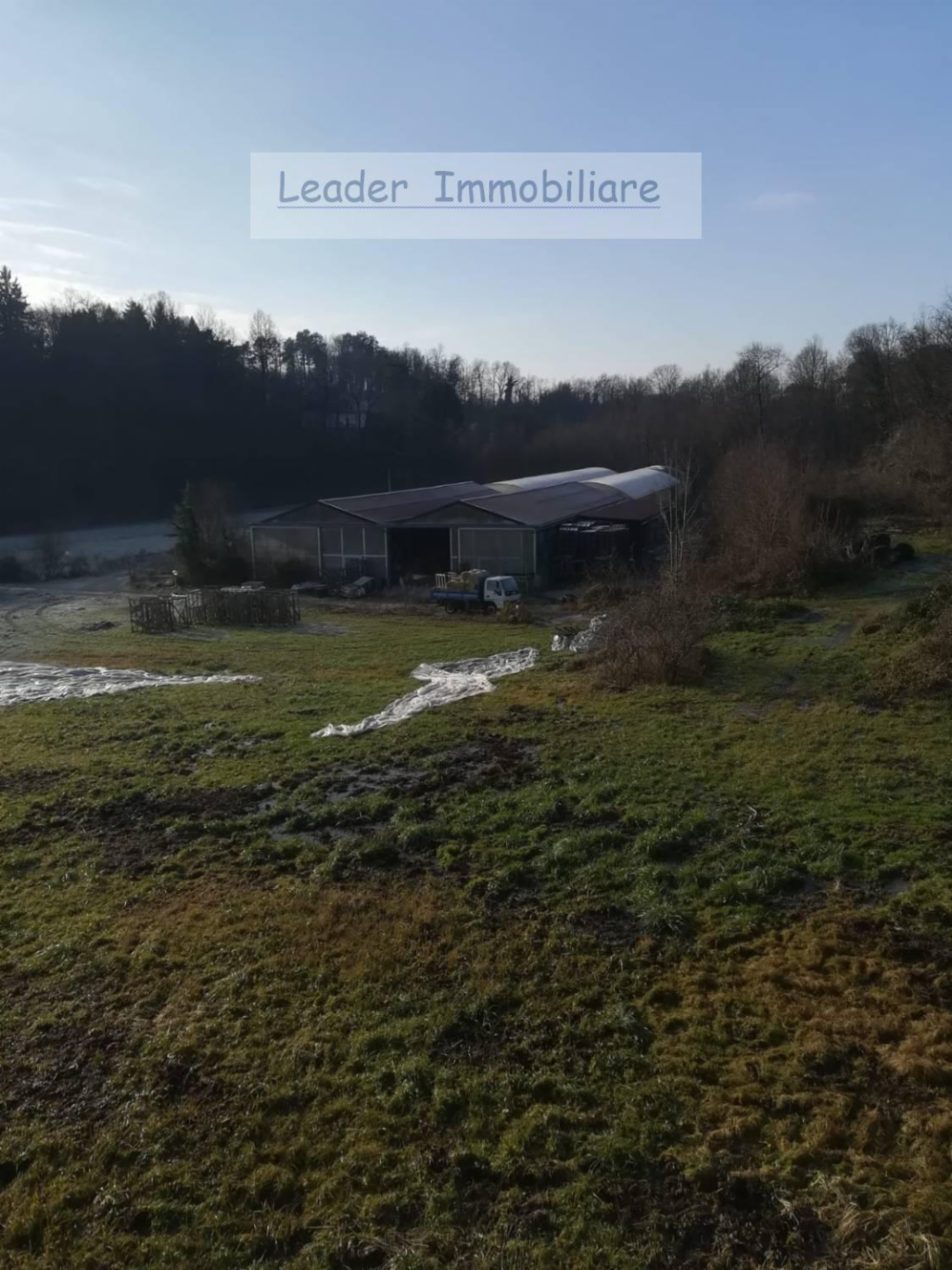 immagine annuncio 5 di 9