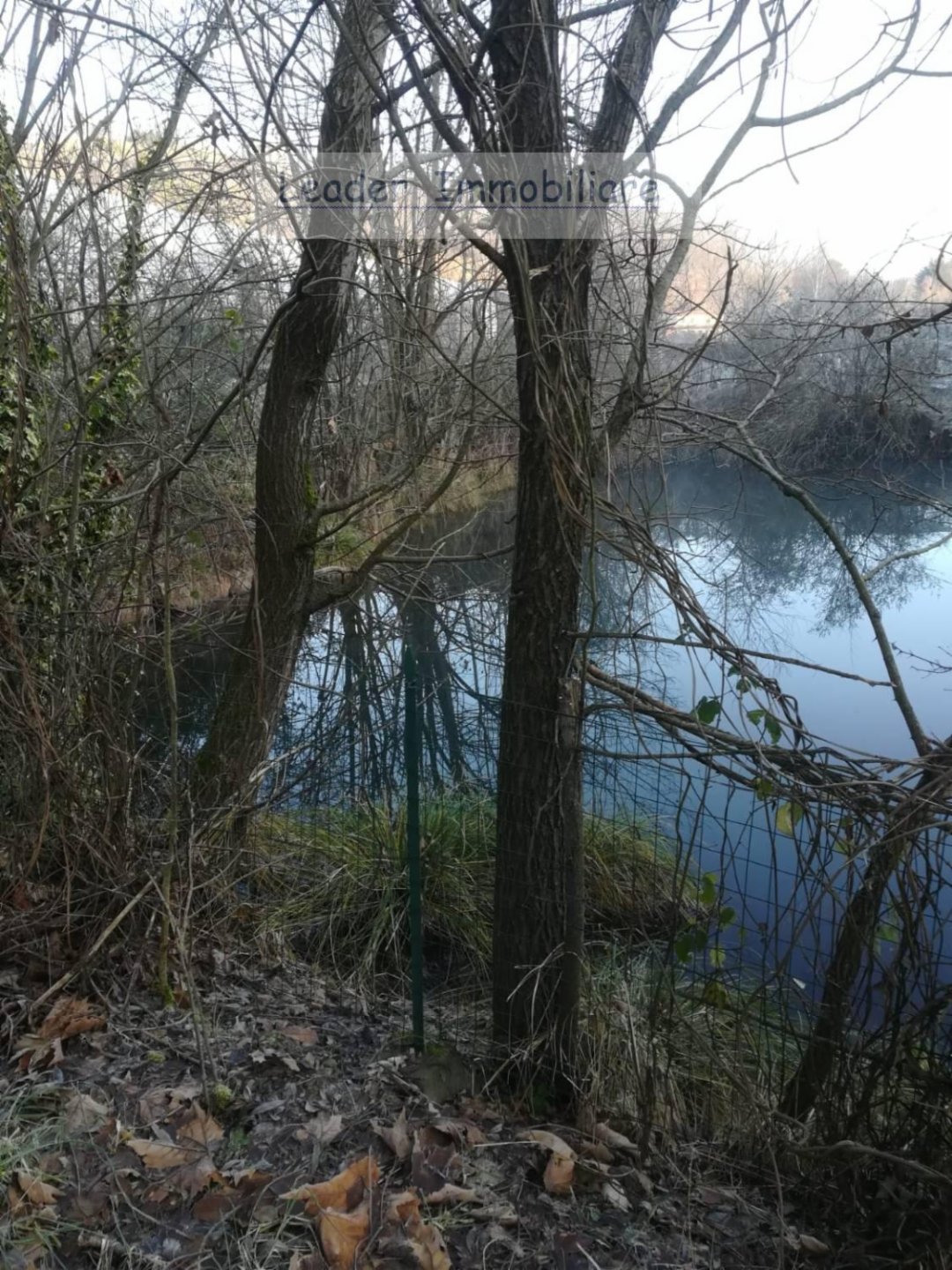 immagine annuncio 7 di 9