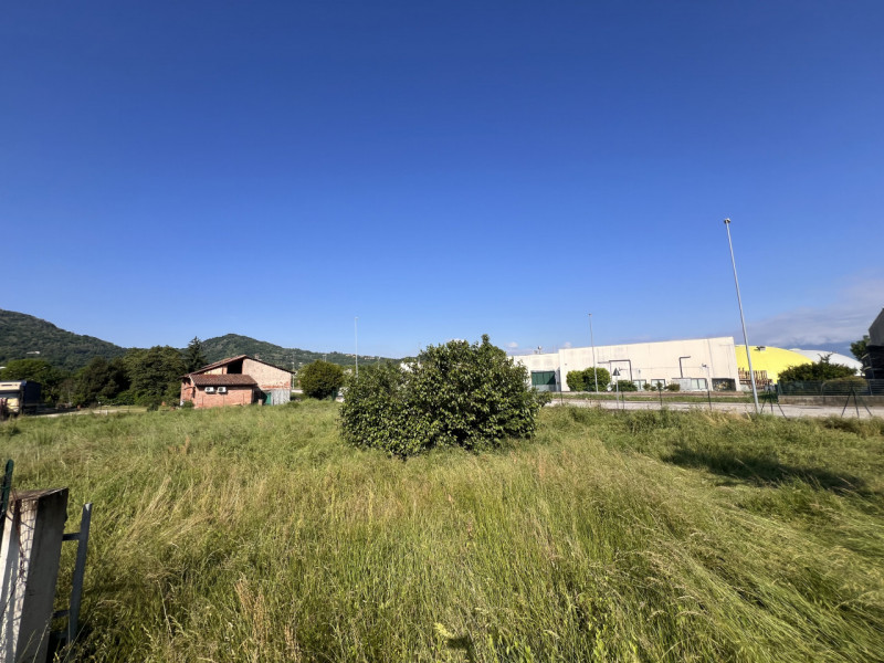 immagine annuncio 6 di 7