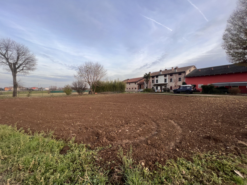 immagine annuncio 2 di 6