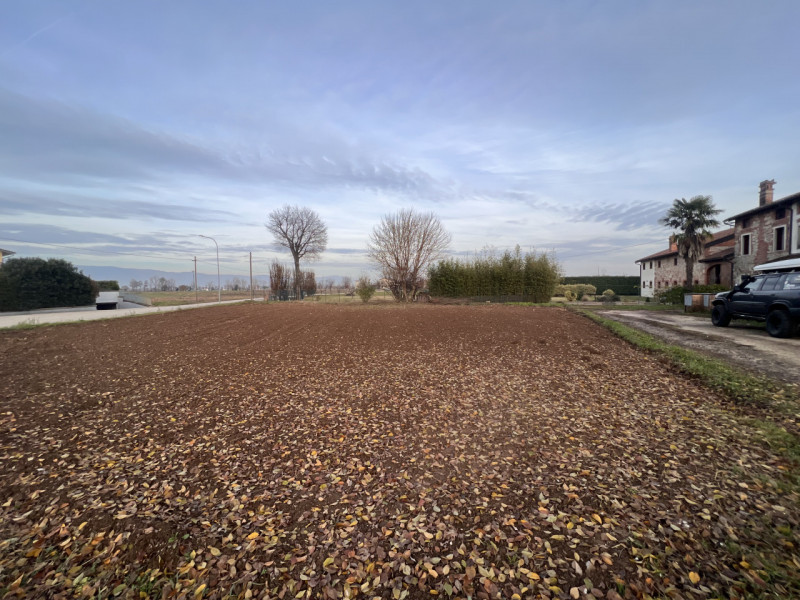 immagine annuncio 4 di 6