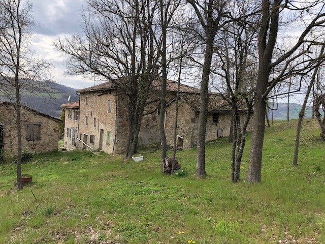 immagine annuncio 3 di 6