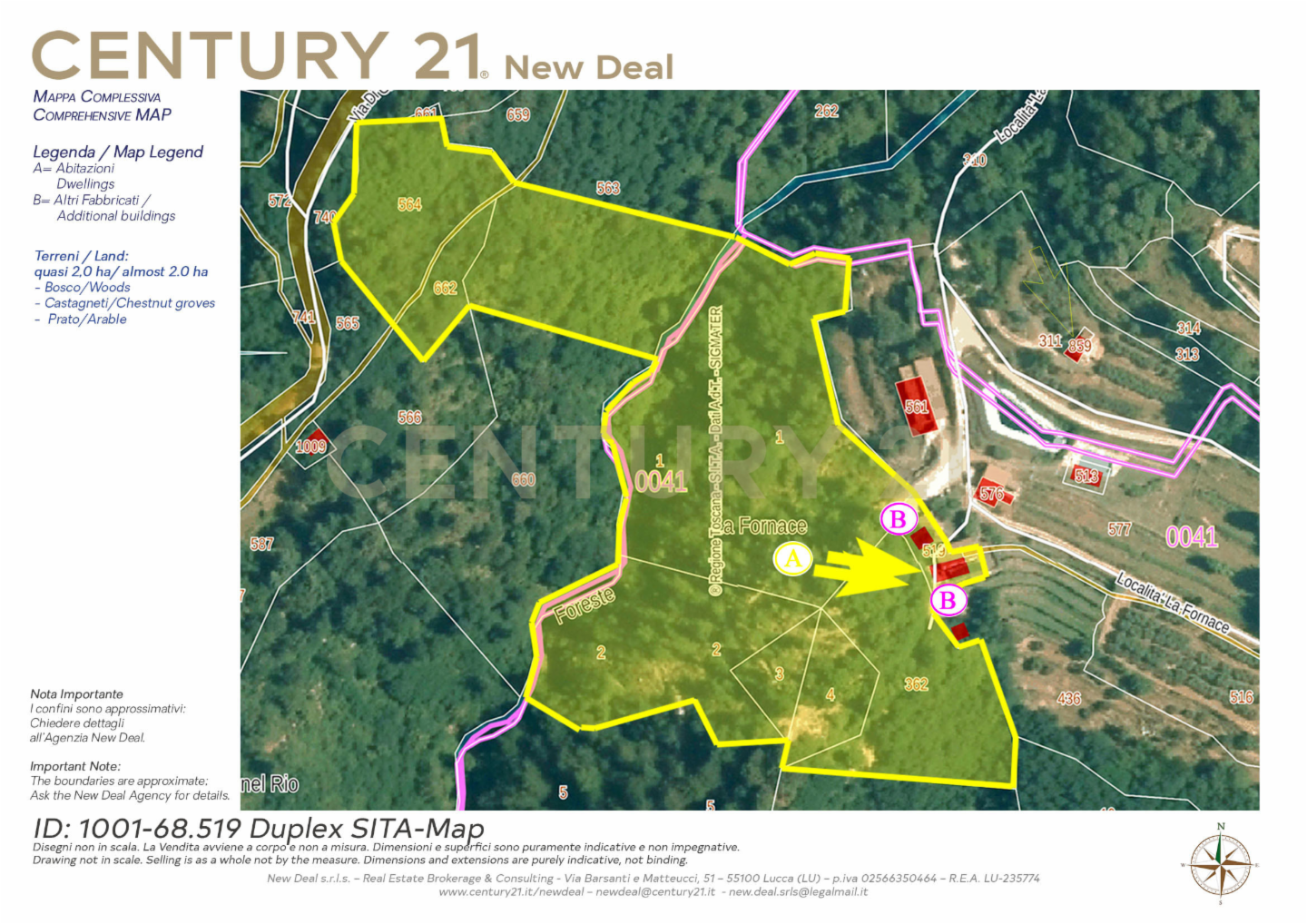 immagine annuncio 3 di 10