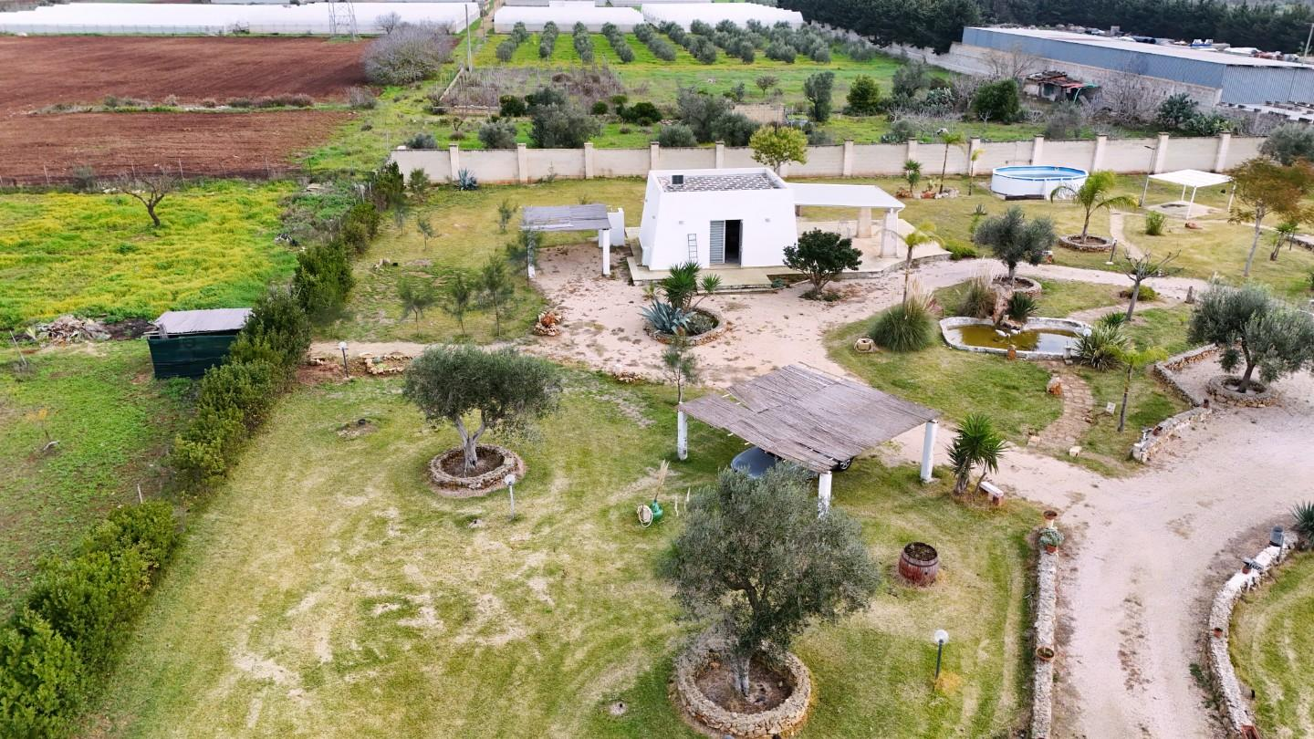 immagine annuncio 3 di 10