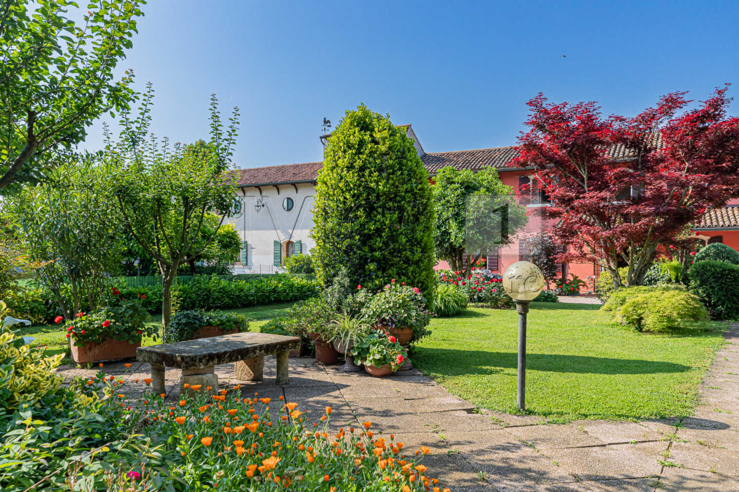 immagine annuncio 4 di 10