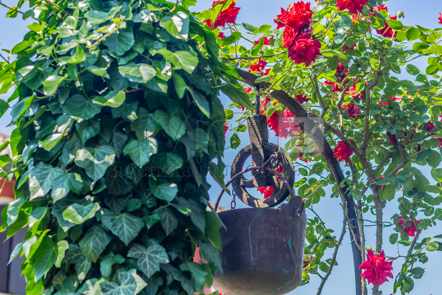 immagine annuncio 1 di 10