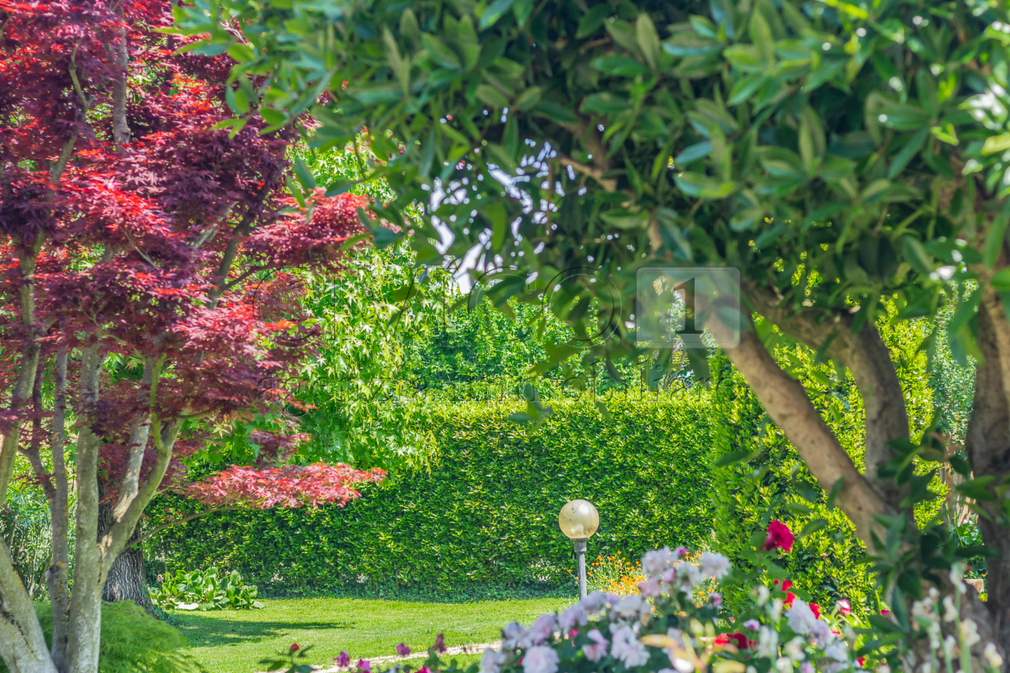 immagine annuncio 6 di 10