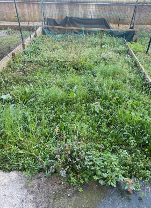 immagine annuncio 5 di 6