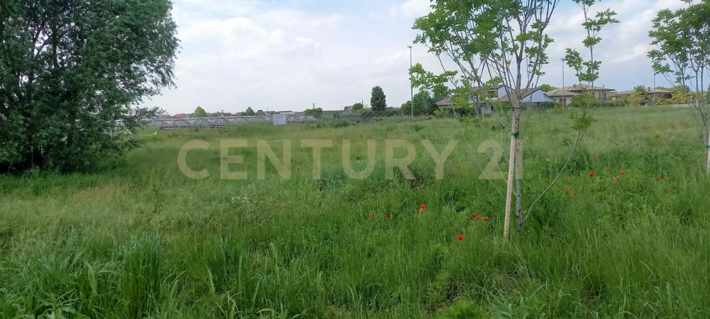 immagine annuncio 4 di 7